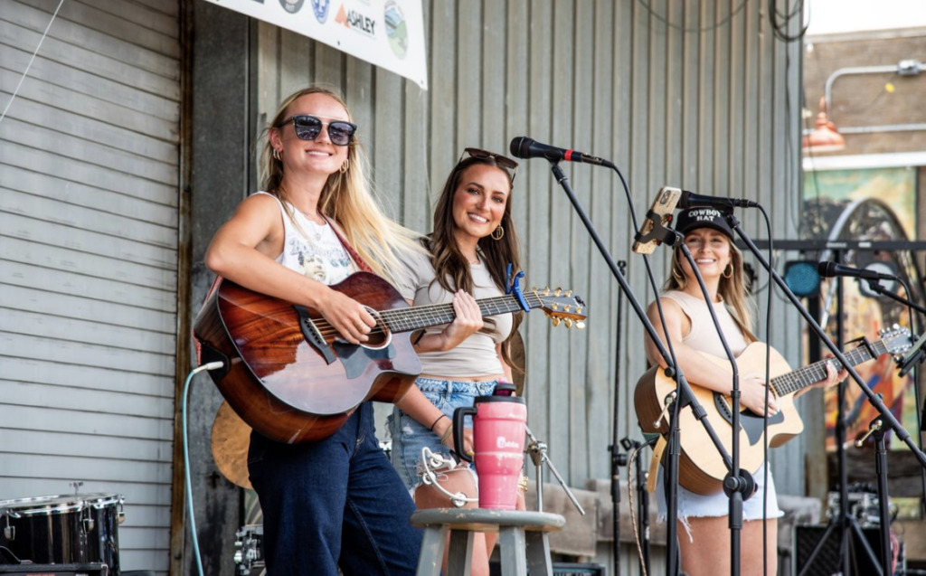 Burnside Music Festival in Ripley MS